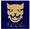 Shropshire CCC badge
